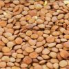 ECO Lencse 5kg ECO Lencse 5kg