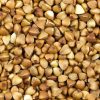 ECO_Hajdina - hántolt_natúr - 5 kg ECO_Hajdina - hántolt_natúr - 5 kg